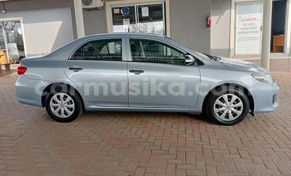 Tenga Tsaru Toyota Corolla Bhuruu Mota in Beitbridge in Matabeleland South Tenga Tsaru Toyota Corolla Bhuruu Mota in Beitbridge in Matabeleland South