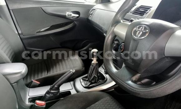 Tenga Tsaru Toyota Corolla Bhuruu Mota in Beitbridge in Matabeleland South Tenga Tsaru Toyota Corolla Bhuruu Mota in Beitbridge in Matabeleland South