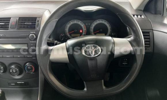Tenga Tsaru Toyota Corolla Bhuruu Mota in Beitbridge in Matabeleland South Tenga Tsaru Toyota Corolla Bhuruu Mota in Beitbridge in Matabeleland South
