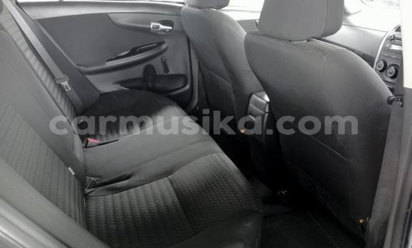 Tenga Tsaru Toyota Corolla Bhuruu Mota in Beitbridge in Matabeleland South Tenga Tsaru Toyota Corolla Bhuruu Mota in Beitbridge in Matabeleland South