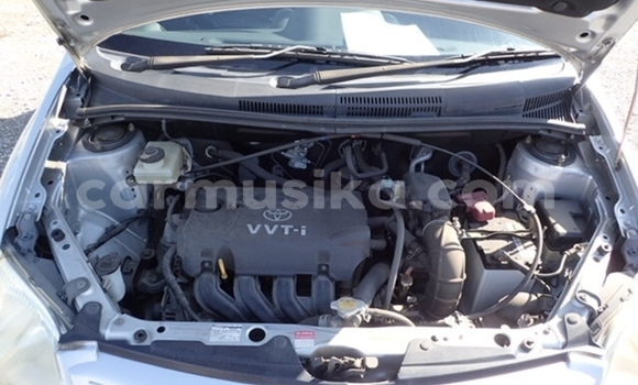 Acheter Occasion Voiture Toyota IST Blanc à Beitbridge, Matabeleland South Acheter Occasion Voiture Toyota IST Blanc à Beitbridge, Matabeleland South