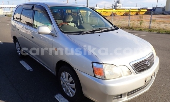 Buy Used Toyota Gaia Silver Car in Beitbridge in Matabeleland South