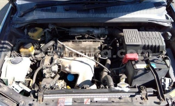 Acheter Occasion Voiture Toyota Ipsum Bleu à Beitbridge, Matabeleland South Acheter Occasion Voiture Toyota Ipsum Bleu à Beitbridge, Matabeleland South