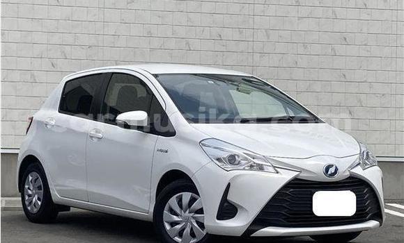 Buy Used Toyota Vitz White Car in Beitbridge in Matabeleland South