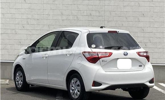 Acheter Occasion Voiture Toyota Vitz Blanc à Beitbridge, Matabeleland South Acheter Occasion Voiture Toyota Vitz Blanc à Beitbridge, Matabeleland South