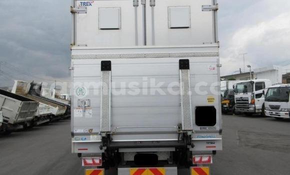 Acheter Occasion Utilitaire Isuzu FTR 850 Blanc à Beitbridge, Matabeleland South Acheter Occasion Utilitaire Isuzu FTR 850 Blanc à Beitbridge, Matabeleland South
