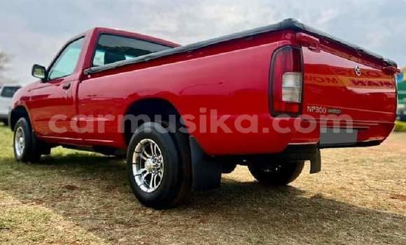 Buy Used Nissan Pickup Red Car in Beitbridge in Matabeleland South Buy Used Nissan Pickup Red Car in Beitbridge in Matabeleland South