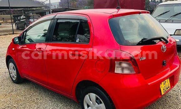 Buy Used Toyota Vitz Red Car in Harare in Harare Buy Used Toyota Vitz Red Car in Harare in Harare