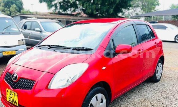 Buy Used Toyota Vitz Red Car in Harare in Harare Buy Used Toyota Vitz Red Car in Harare in Harare
