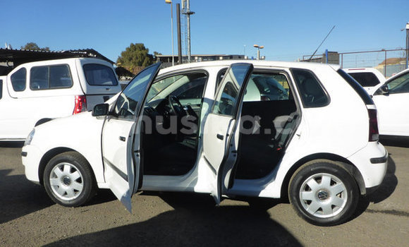 Tenga Tsaru Volkswagen Polo Chena Mota in Beitbridge in Matabeleland South Tenga Tsaru Volkswagen Polo Chena Mota in Beitbridge in Matabeleland South