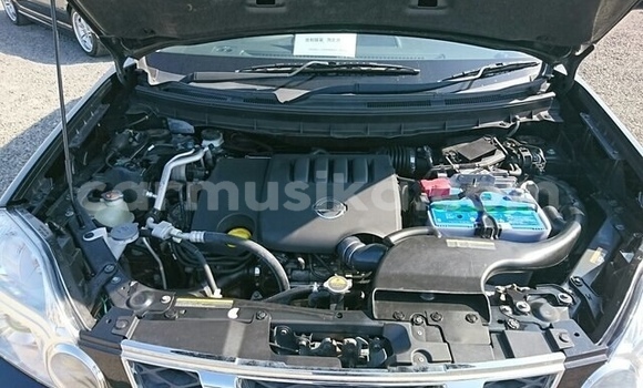 Tenga Tsaru Nissan X–Trail Nhema Mota in Beitbridge in Matabeleland South Tenga Tsaru Nissan X–Trail Nhema Mota in Beitbridge in Matabeleland South