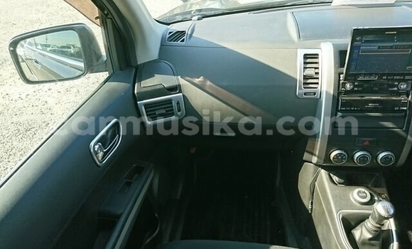 Tenga Tsaru Nissan X–Trail Nhema Mota in Beitbridge in Matabeleland South Tenga Tsaru Nissan X–Trail Nhema Mota in Beitbridge in Matabeleland South