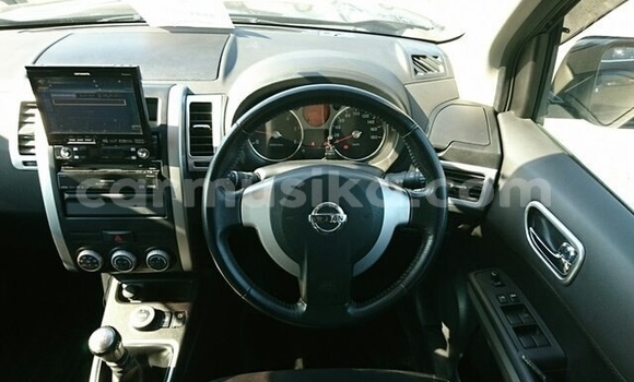 Tenga Tsaru Nissan X–Trail Nhema Mota in Beitbridge in Matabeleland South Tenga Tsaru Nissan X–Trail Nhema Mota in Beitbridge in Matabeleland South