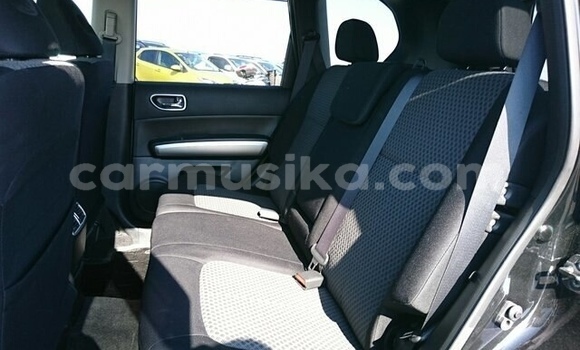 Tenga Tsaru Nissan X–Trail Nhema Mota in Beitbridge in Matabeleland South Tenga Tsaru Nissan X–Trail Nhema Mota in Beitbridge in Matabeleland South