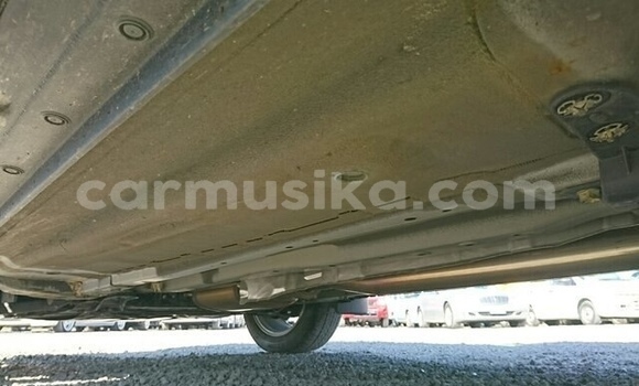 Tenga Tsaru Nissan X–Trail Nhema Mota in Beitbridge in Matabeleland South Tenga Tsaru Nissan X–Trail Nhema Mota in Beitbridge in Matabeleland South