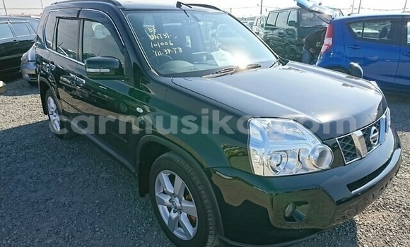 Tenga Tsaru Nissan X–Trail Nhema Mota in Beitbridge in Matabeleland South Tenga Tsaru Nissan X–Trail Nhema Mota in Beitbridge in Matabeleland South