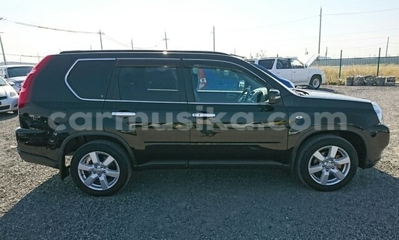Tenga Tsaru Nissan X–Trail Nhema Mota in Beitbridge in Matabeleland South Tenga Tsaru Nissan X–Trail Nhema Mota in Beitbridge in Matabeleland South