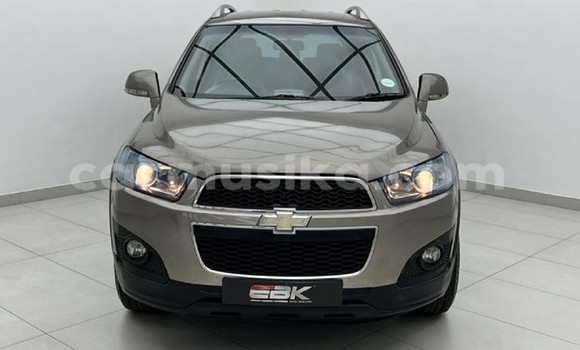 Buy Used Chevrolet Captiva Beige Car in Beitbridge in Matabeleland South Buy Used Chevrolet Captiva Beige Car in Beitbridge in Matabeleland South