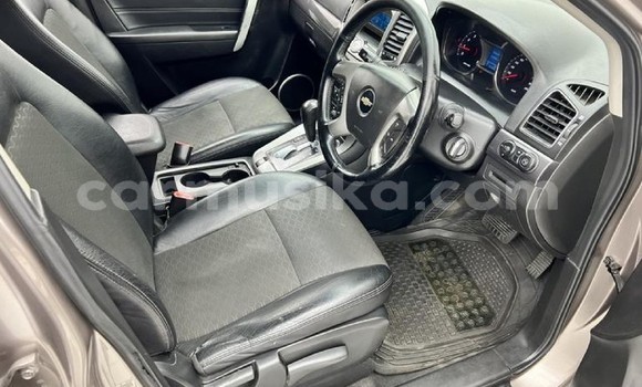 Acheter Occasion Voiture Chevrolet Captiva Beige à Beitbridge, Matabeleland South Acheter Occasion Voiture Chevrolet Captiva Beige à Beitbridge, Matabeleland South