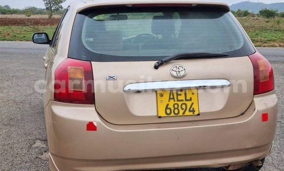 Acheter Occasion Voiture Toyota Runx Autre à Harare, Harare Acheter Occasion Voiture Toyota Runx Autre à Harare, Harare
