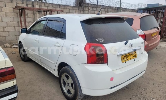 Acheter Occasion Voiture Toyota Runx Blanc à Harare, Harare Acheter Occasion Voiture Toyota Runx Blanc à Harare, Harare