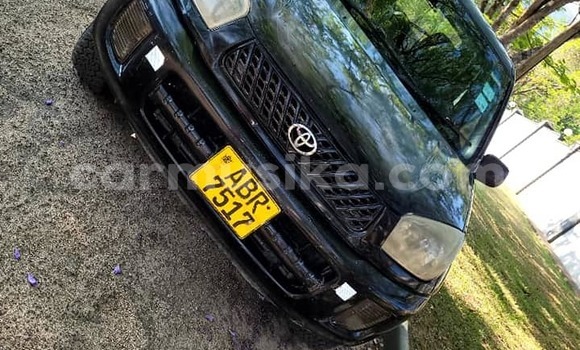 Tenga Tsaru Toyota RAV4 Nhema Mota in Harare in Harare Tenga Tsaru Toyota RAV4 Nhema Mota in Harare in Harare