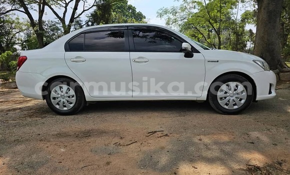 Tenga Tsaru Toyota Axio Chena Mota in Harare in Harare Tenga Tsaru Toyota Axio Chena Mota in Harare in Harare