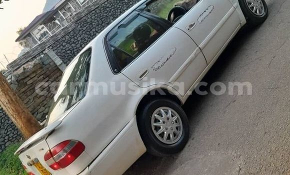 Nunua Ilio tumika Toyota Corolla Nyeupe Gari ndani ya Harare nchini Harare