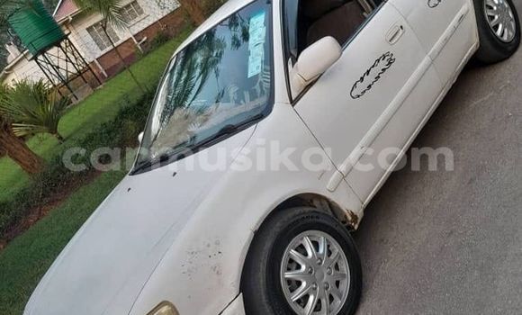 Acheter Occasion Voiture Toyota Corolla Blanc à Harare, Harare Acheter Occasion Voiture Toyota Corolla Blanc à Harare, Harare