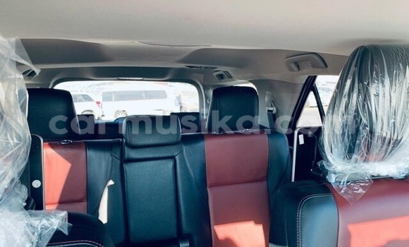 Tenga Tsaru Toyota Fortuner Sirivha Mota in Beitbridge in Matabeleland South Tenga Tsaru Toyota Fortuner Sirivha Mota in Beitbridge in Matabeleland South