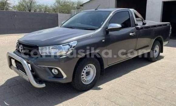Nunua Ilio tumika Toyota Hilux Nyingine Gari ndani ya Beitbridge nchini Matabeleland Kusini