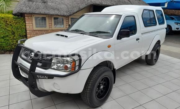 Nunua Ilio tumika Nissan Hardbody Nyeupe Gari ndani ya Beitbridge nchini Matabeleland Kusini Nunua Ilio tumika Nissan Hardbody Nyeupe Gari ndani ya Beitbridge nchini Matabeleland Kusini