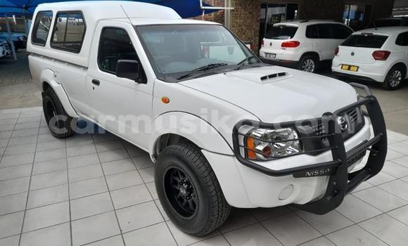 Nunua Ilio tumika Nissan Hardbody Nyeupe Gari ndani ya Beitbridge nchini Matabeleland Kusini Nunua Ilio tumika Nissan Hardbody Nyeupe Gari ndani ya Beitbridge nchini Matabeleland Kusini