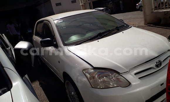 Tenga Tsaru Toyota Runx Chena Mota in Beitbridge in Matabeleland South Tenga Tsaru Toyota Runx Chena Mota in Beitbridge in Matabeleland South