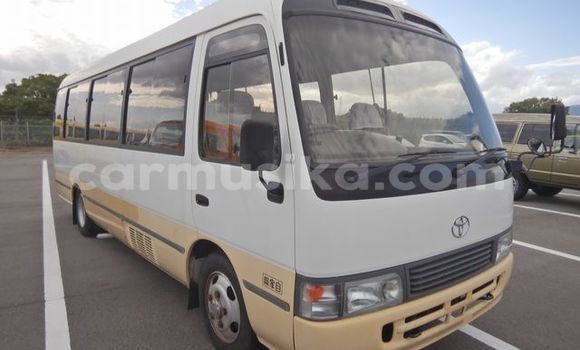 Buy Used Toyota Coaster Other Car in Beitbridge in Matabeleland South