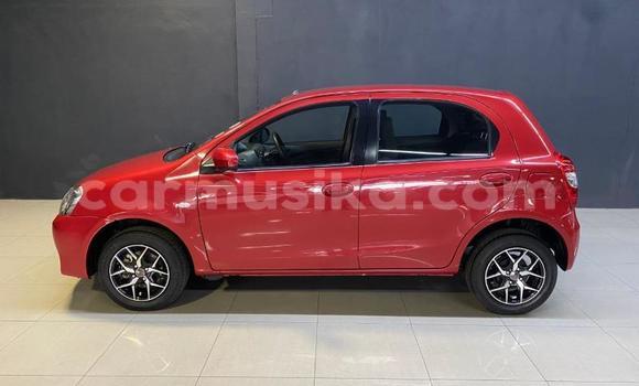 Buy Used Toyota Etios Red Car in Beitbridge in Matabeleland South Buy Used Toyota Etios Red Car in Beitbridge in Matabeleland South