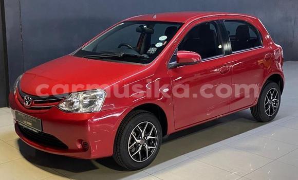 Buy Used Toyota Etios Red Car in Beitbridge in Matabeleland South Buy Used Toyota Etios Red Car in Beitbridge in Matabeleland South