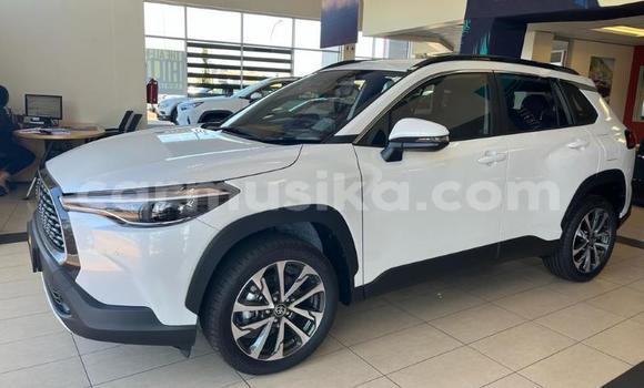 Buy Used Toyota Corolla Cross White Car in Beitbridge in Matabeleland South Buy Used Toyota Corolla Cross White Car in Beitbridge in Matabeleland South