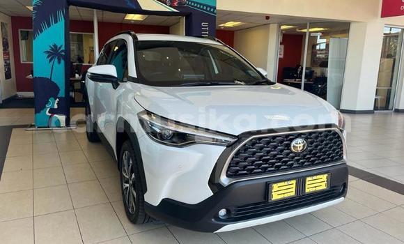 Tenga Tsaru Toyota Corolla Cross Chena Mota in Beitbridge in Matabeleland South Tenga Tsaru Toyota Corolla Cross Chena Mota in Beitbridge in Matabeleland South