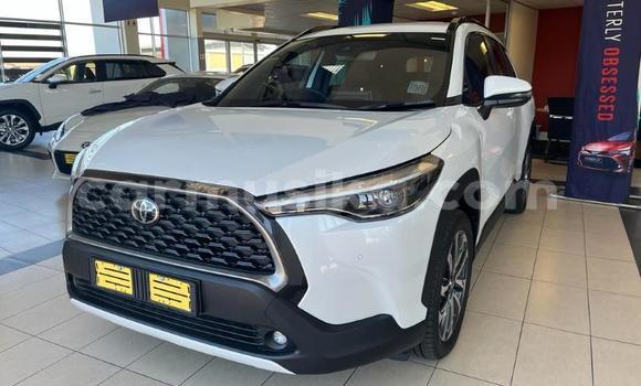 Tenga Tsaru Toyota Corolla Cross Chena Mota in Beitbridge in Matabeleland South Tenga Tsaru Toyota Corolla Cross Chena Mota in Beitbridge in Matabeleland South