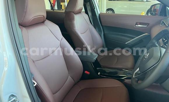 Tenga Tsaru Toyota Corolla Cross Chena Mota in Beitbridge in Matabeleland South Tenga Tsaru Toyota Corolla Cross Chena Mota in Beitbridge in Matabeleland South