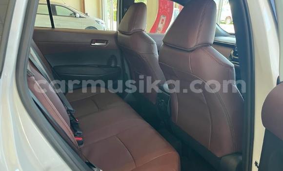 Tenga Tsaru Toyota Corolla Cross Chena Mota in Beitbridge in Matabeleland South Tenga Tsaru Toyota Corolla Cross Chena Mota in Beitbridge in Matabeleland South