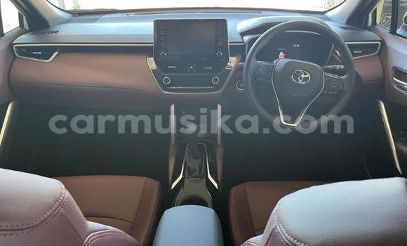 Tenga Tsaru Toyota Corolla Cross Chena Mota in Beitbridge in Matabeleland South Tenga Tsaru Toyota Corolla Cross Chena Mota in Beitbridge in Matabeleland South