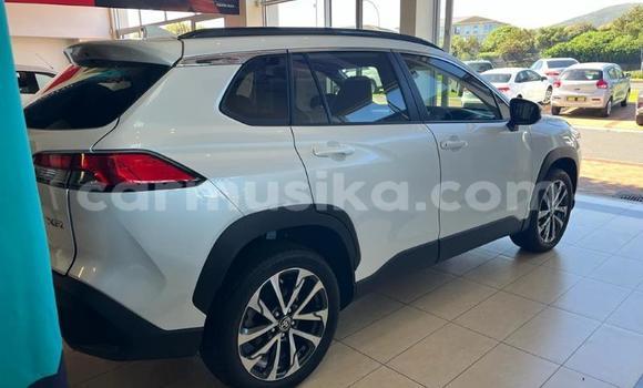 Tenga Tsaru Toyota Corolla Cross Chena Mota in Beitbridge in Matabeleland South Tenga Tsaru Toyota Corolla Cross Chena Mota in Beitbridge in Matabeleland South