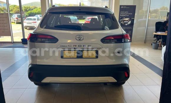 Tenga Tsaru Toyota Corolla Cross Chena Mota in Beitbridge in Matabeleland South Tenga Tsaru Toyota Corolla Cross Chena Mota in Beitbridge in Matabeleland South
