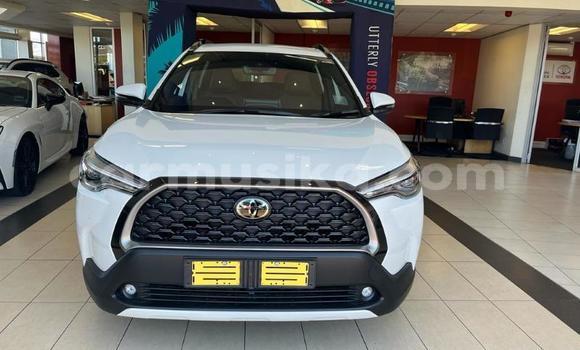 Tenga Tsaru Toyota Corolla Cross Chena Mota in Beitbridge in Matabeleland South Tenga Tsaru Toyota Corolla Cross Chena Mota in Beitbridge in Matabeleland South