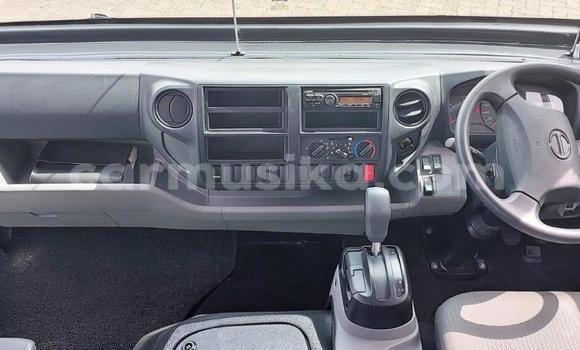 Tenga Tsaru Hino 300 Chena Rori in Beitbridge in Matabeleland South Tenga Tsaru Hino 300 Chena Rori in Beitbridge in Matabeleland South