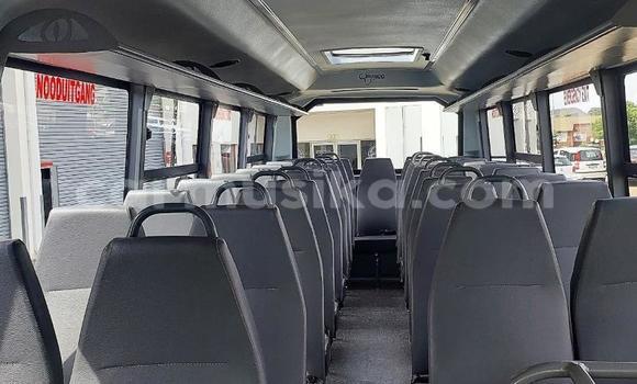 Tenga Tsaru Hino 300 Chena Rori in Beitbridge in Matabeleland South Tenga Tsaru Hino 300 Chena Rori in Beitbridge in Matabeleland South