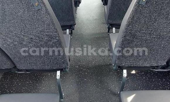 Tenga Tsaru Hino 300 Chena Rori in Beitbridge in Matabeleland South Tenga Tsaru Hino 300 Chena Rori in Beitbridge in Matabeleland South