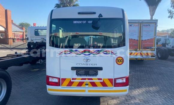 Acheter Occasion Voiture Toyota Coaster Blanc à Beitbridge, Matabeleland South Acheter Occasion Voiture Toyota Coaster Blanc à Beitbridge, Matabeleland South